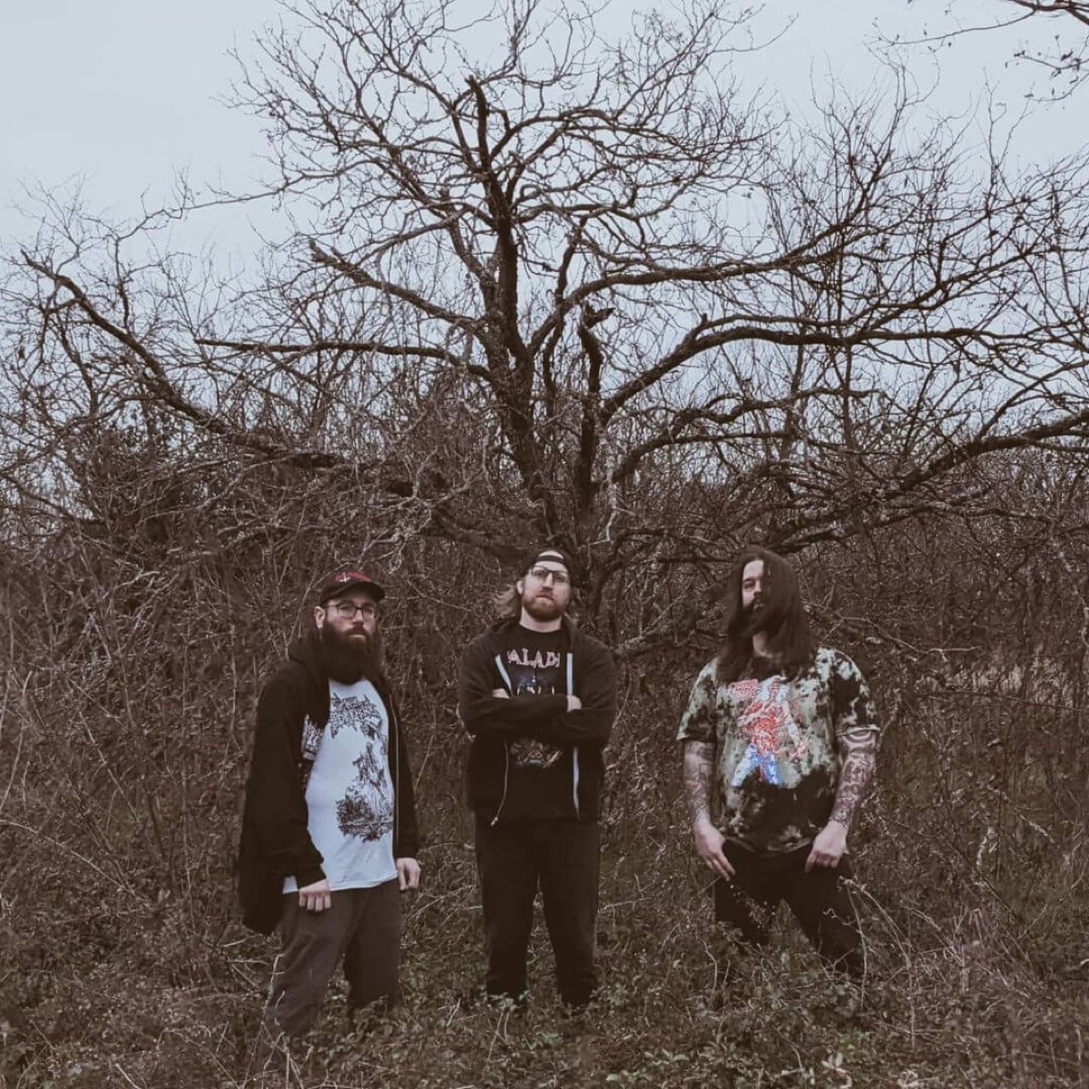 Left to Rot