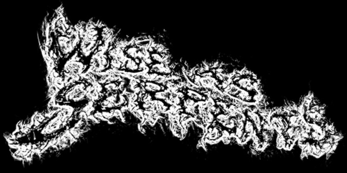 Wise as Serpents