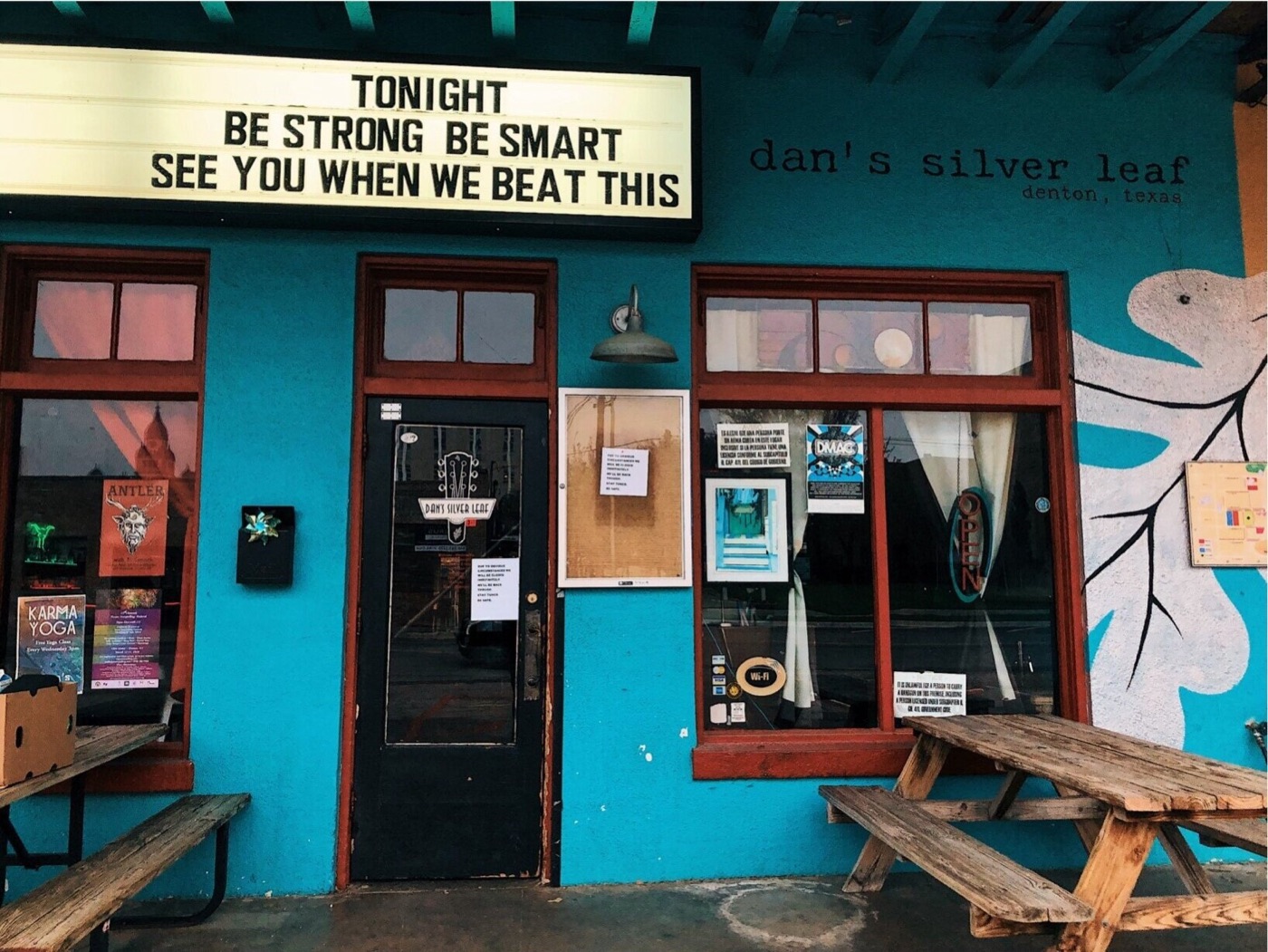Dan's Silverleaf